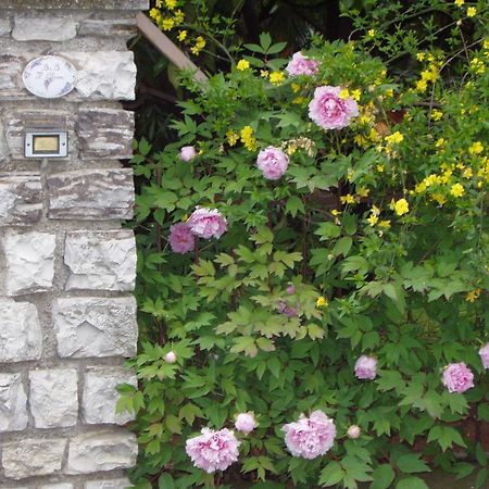 B&B Il Glicine Bedizzole Εξωτερικό φωτογραφία