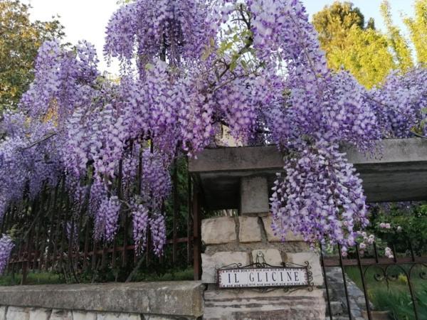 B&B Il Glicine Bedizzole Εξωτερικό φωτογραφία