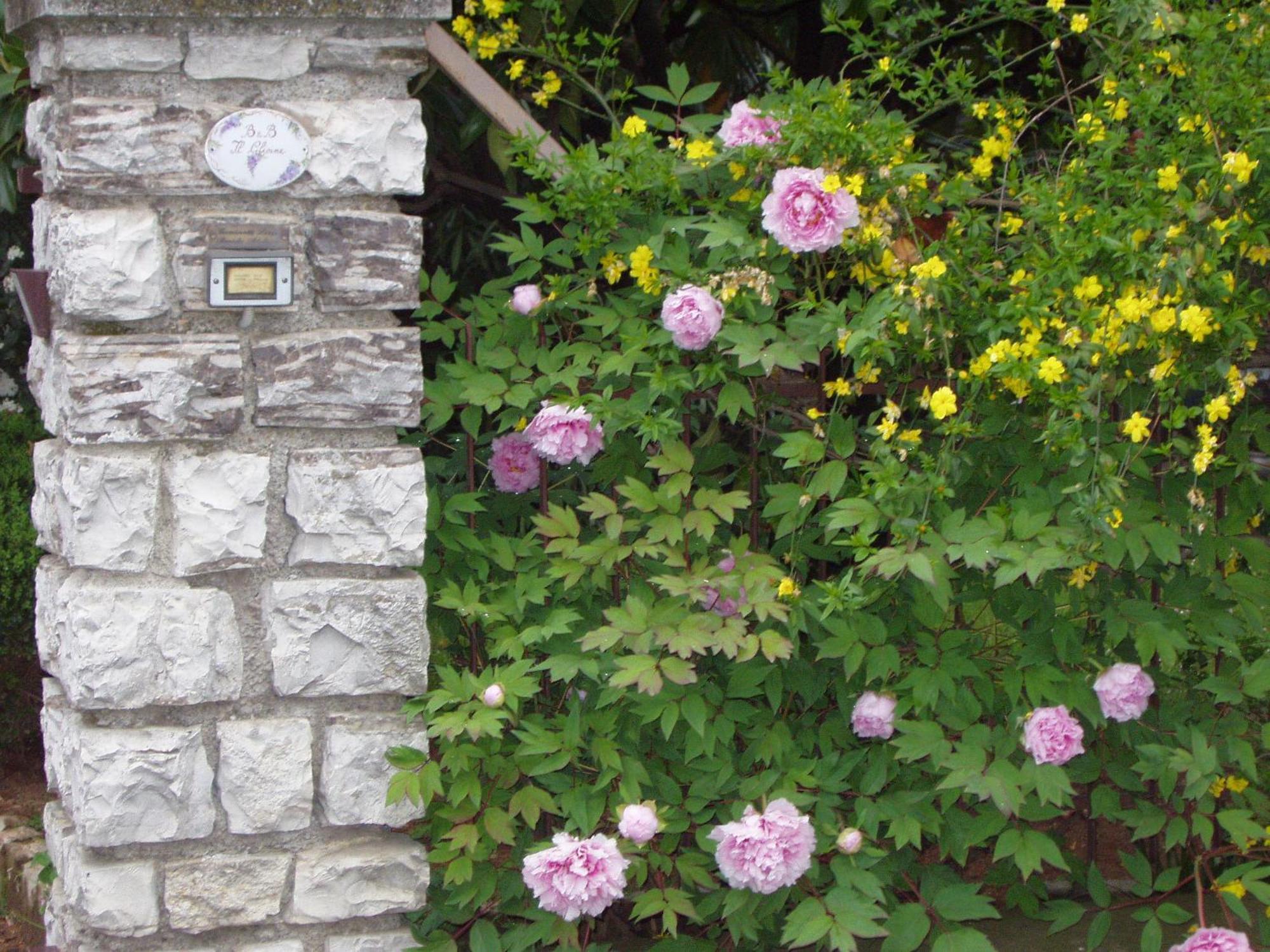 B&B Il Glicine Bedizzole Εξωτερικό φωτογραφία