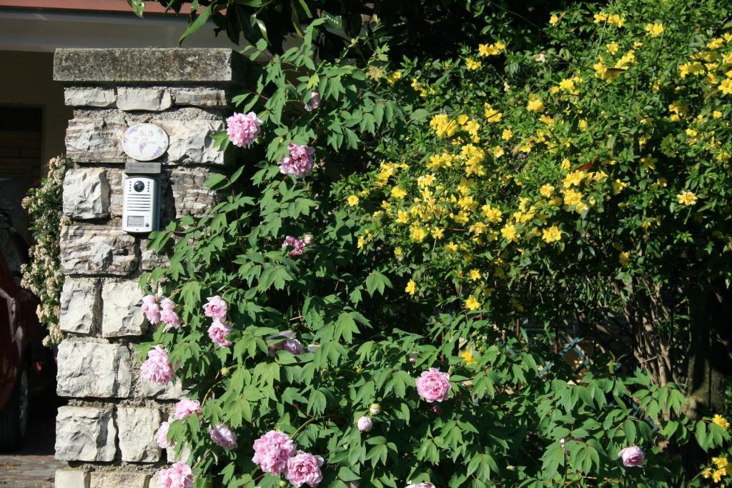 B&B Il Glicine Bedizzole Εξωτερικό φωτογραφία