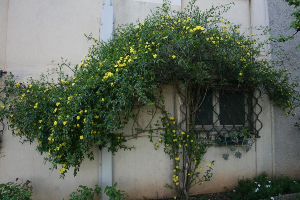 B&B Il Glicine Bedizzole Εξωτερικό φωτογραφία