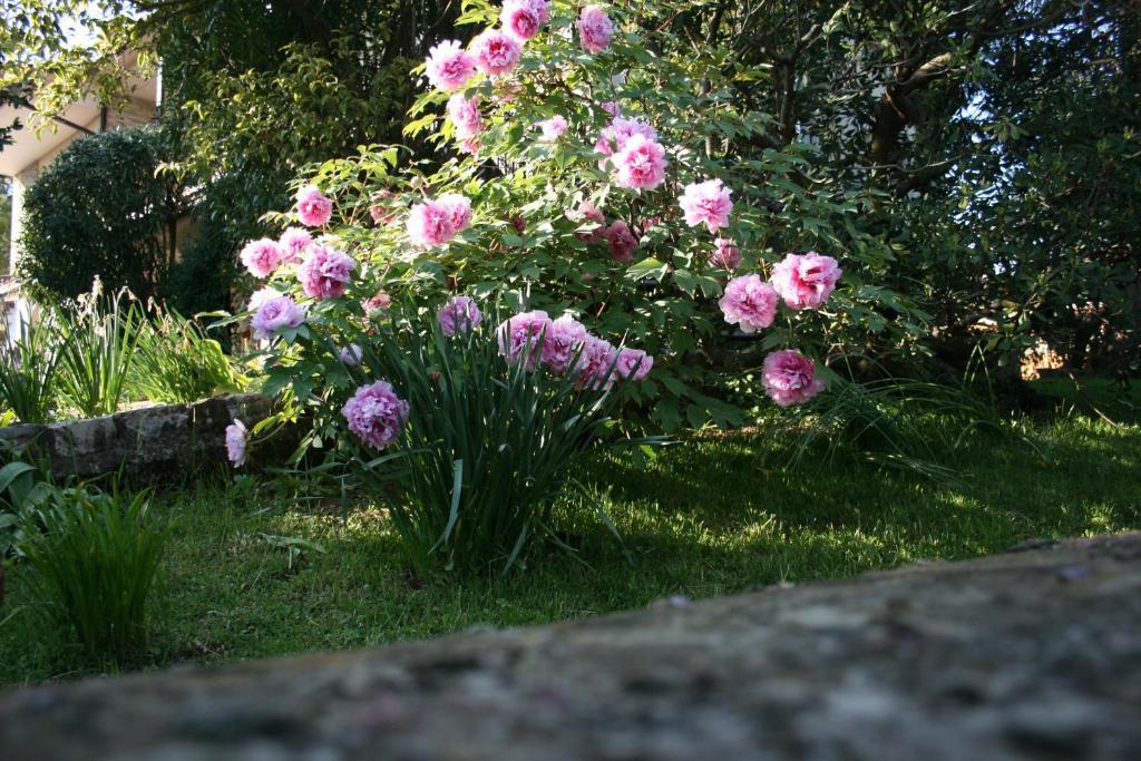 B&B Il Glicine Bedizzole Εξωτερικό φωτογραφία